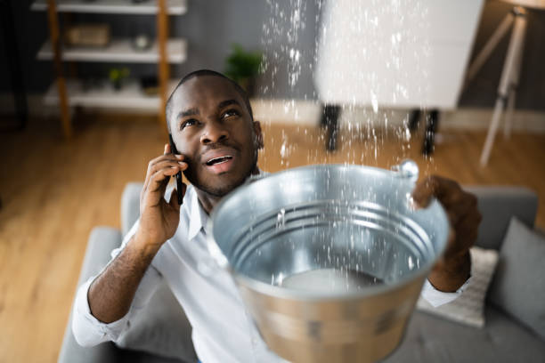 Best Sewage cleanup and water damage restoration  in Scaggsville, MD