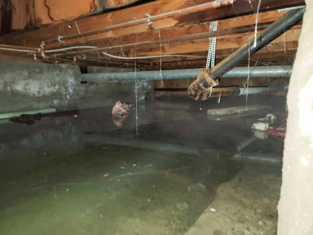 Sewage cleanup and water damage restoration in Scaggsville, MD
