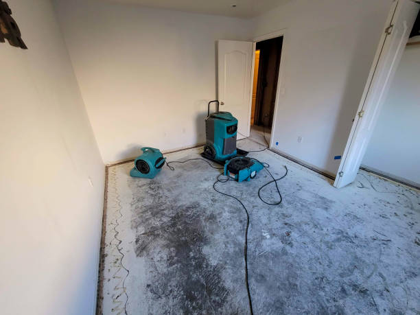 Best Local water damage restoration  in Scaggsville, MD
