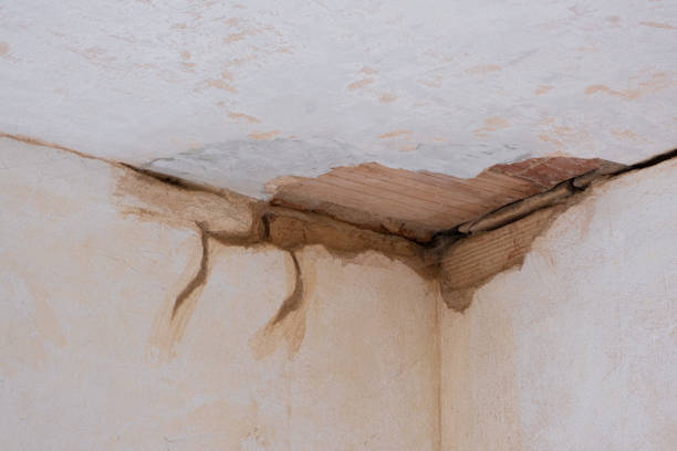 Best Carpet water damage restoration  in Scaggsville, MD