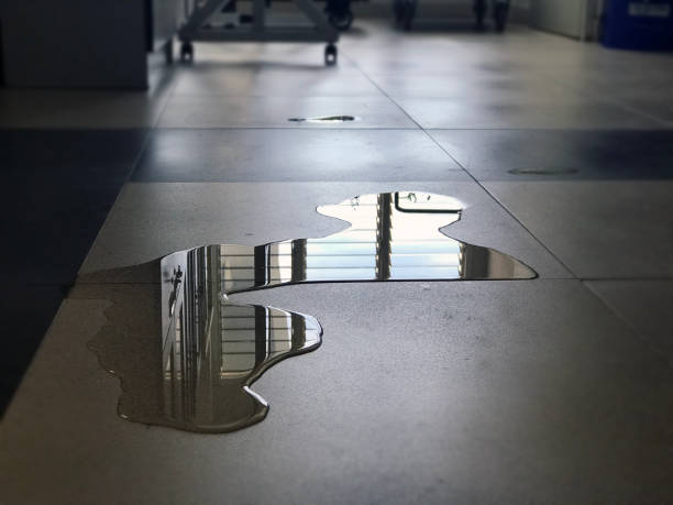 Best Commercial water damage restoration  in Scaggsville, MD