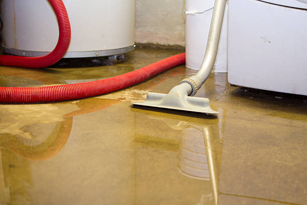 Best Ceiling water damage repair  in Scaggsville, MD