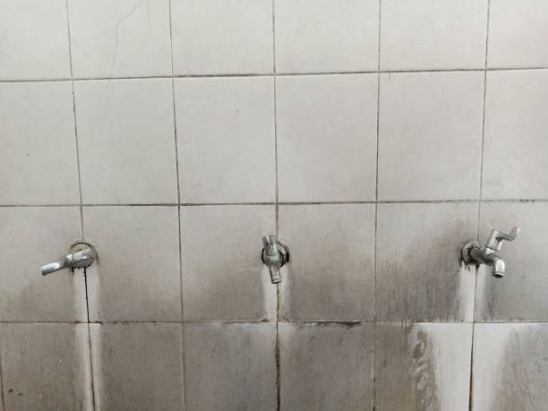 Best Fire Damage Restoration  in Scaggsville, MD