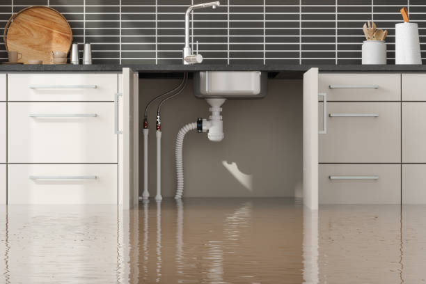 Best Water damage restoration near me  in Scaggsville, MD
