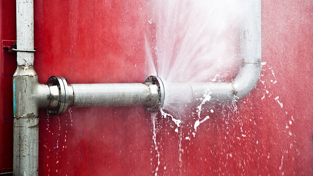Best Mold removal after water damage  in Scaggsville, MD
