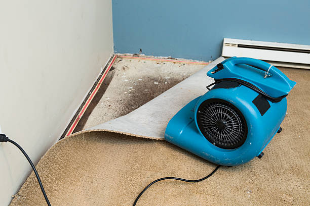Best Local water damage restoration  in Scaggsville, MD